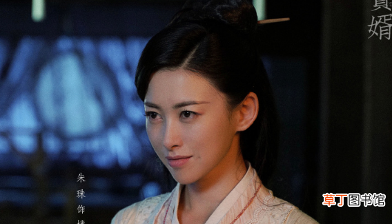 赘婿人物关系介绍_赘婿人物大全_赘婿各人物结局百科