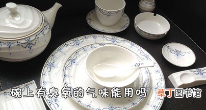 碗上有臭氧的气味能用吗-家庭须知