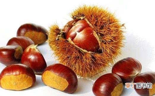 10个栗子顶一碗饭 栗子的五大功效