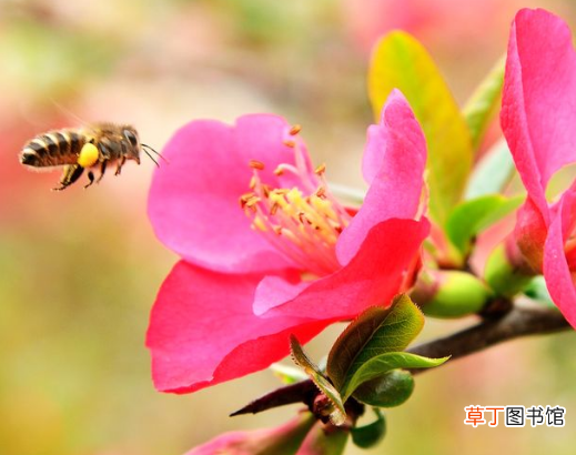 正月大年初四早上可以喝稀饭吗大年初四来历