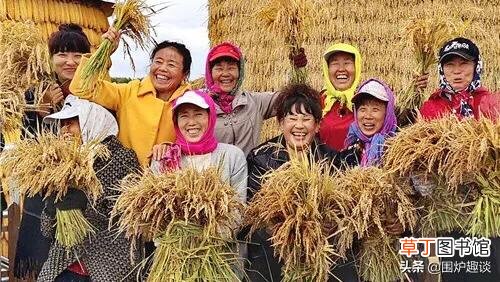 大年初三肥猪拱门老鼠娶亲啥意思？一不动、二不吃又当何讲