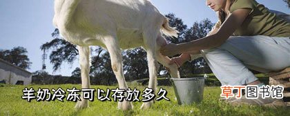 羊奶冷冻可以存放多久-保存须知
