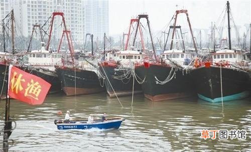 休渔期补贴多少钱 2021年休渔期有补贴吗广东2021年渔民有差期补助