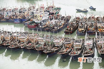 休渔期补贴多少钱 2021年休渔期有补贴吗广东2021年渔民有差期补助