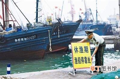 休渔期补贴多少钱 2021年休渔期有补贴吗广东2021年渔民有差期补助