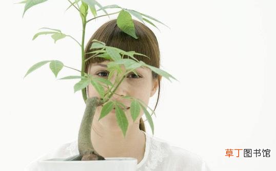 能够帮助肌肤白嫩的秘方