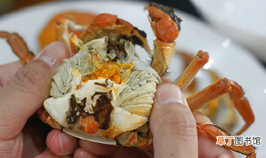 大闸蟹蒸多久最佳时间,清蒸大闸蟹的方法