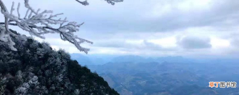 长期在高海拔地区对人的影响