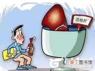 警惕！出现酒精肝身体的5个表现，希望你一个都没有！