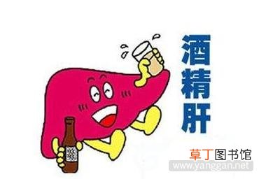 酒精肝等级 酒精肝诊断标准与分级