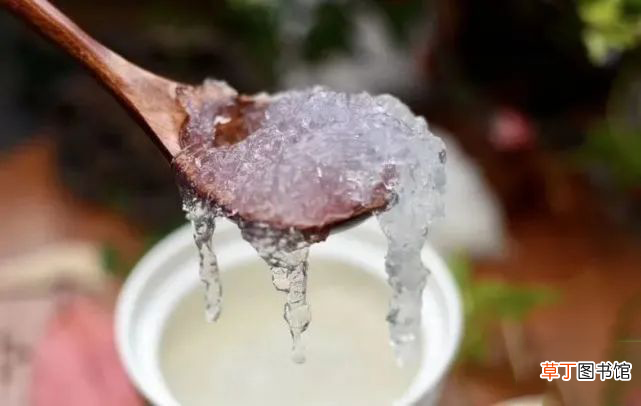 煮燕窝的注意事项 哪些原因会导致燕窝炖不好呢