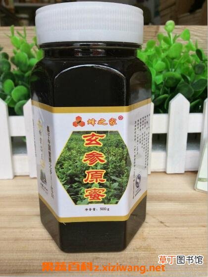 玄参蜂蜜的功效与作用