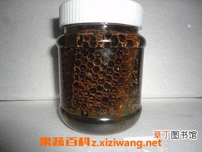 黑蜂王浆的作用与功效