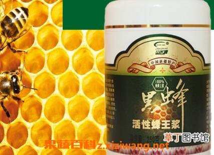 黑蜂王浆的作用与功效