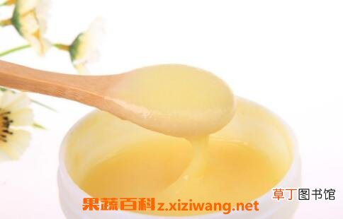 蜂王精和蜂王浆的区别