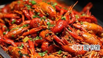 家常小龙虾最简单做法 小龙虾怎么清洗最干净