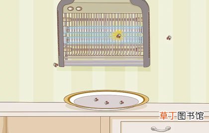 5种长期驱赶苍蝇的办法-带有图文详解