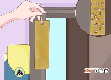 5种长期驱赶苍蝇的办法-带有图文详解