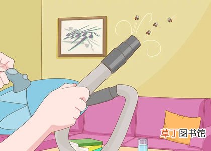 5种长期驱赶苍蝇的办法-带有图文详解