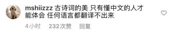 疏影横斜水清浅暗香浮动月黄昏江疏影用诗句回应韩国网友