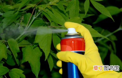 房间喷杀虫剂后衣物可以穿吗-喷了杀虫剂要闷多久
