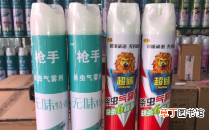 房间喷杀虫剂后衣物可以穿吗-喷了杀虫剂要闷多久