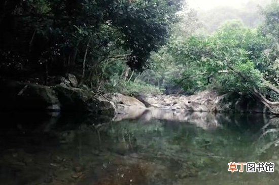 惠州有什么好玩的地方