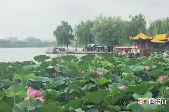 济南有什么好玩的地方