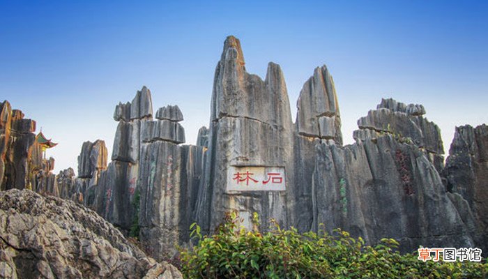 石林在哪里