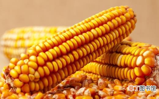 日常生活中吃到的米 米的种类与营养价值