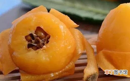 枇杷全身都是宝 对于眼睛和皮肤的健康有助