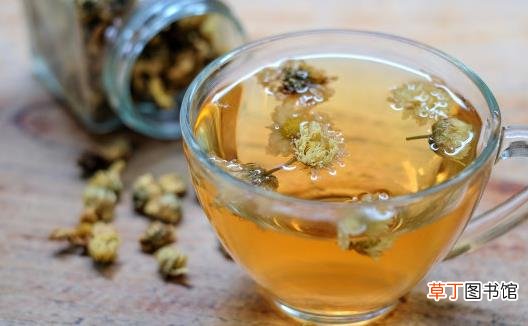 不同类菊花效用不同 分享菊花的小知识