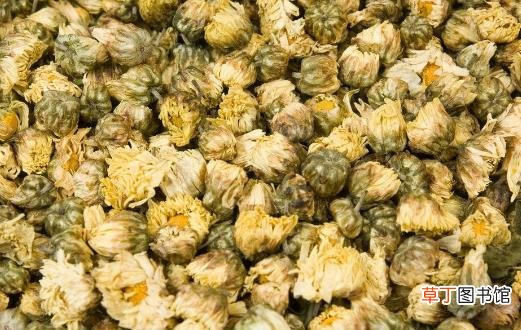 不同类菊花效用不同 分享菊花的小知识