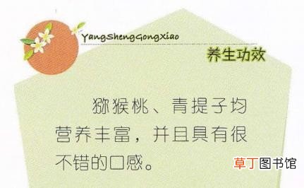 168种广式糖水做法配方 广东糖水甜品的做法大全