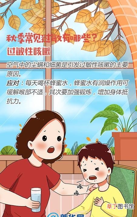 小个子不可错过的18套搭配分享 矮个子穿衣搭配图片推荐