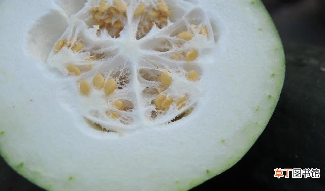 老中医秘方多吃这9种食物降火 上火吃什么最快能降火