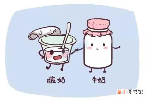 看懂标签带你挑选“真”酸奶 哪种酸奶是真正的酸奶