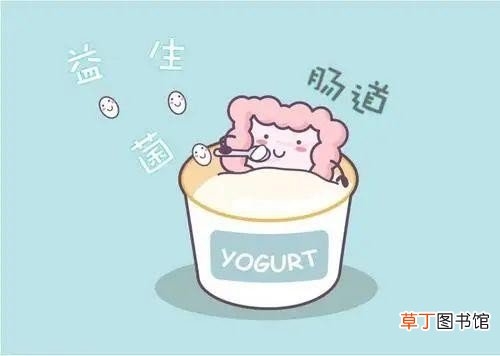 看懂标签带你挑选“真”酸奶 哪种酸奶是真正的酸奶