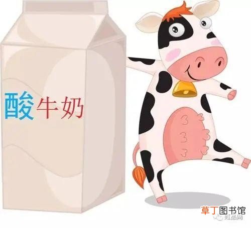 看懂标签带你挑选“真”酸奶 哪种酸奶是真正的酸奶