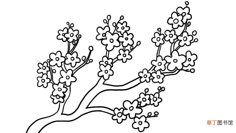 桃花树的简笔画怎么画桃花树的简笔画画法