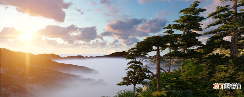 杜甫望岳中的岱宗指的是什么 杜甫望岳中的岱宗是指哪座山