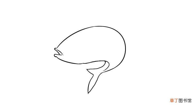 鲫鱼简笔画教程鲫鱼简笔画怎么画
