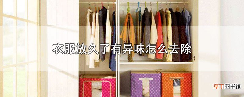 衣服放久了有异味怎样去除
