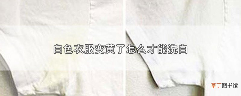 白色衣服变黄了怎样才能洗白