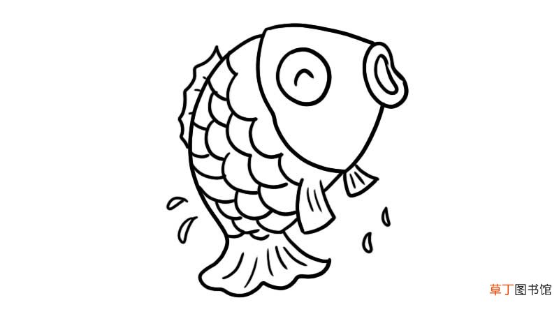 鲤鱼简笔画