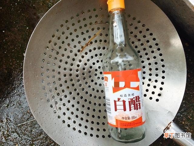 教你饭店不外传的洗小龙虾做法 小龙虾怎么处理干净