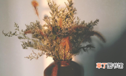 干花会不会枯萎 干花如何才能不掉
