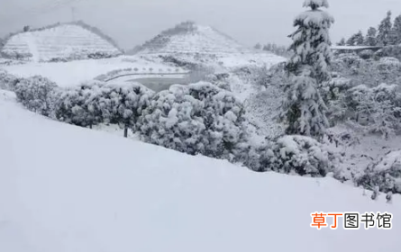 2022重庆过年会不会下雪 重庆过年天气如何样