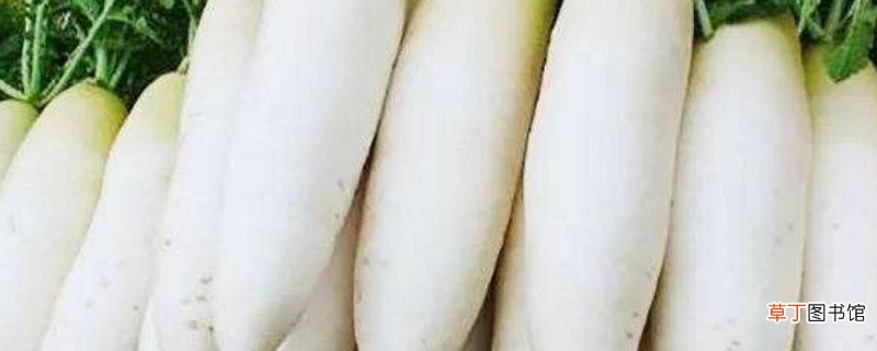 韩国泡菜萝卜的腌制方法