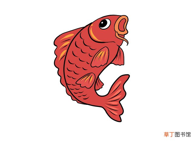 鲤鱼简笔画 零基础学鲤鱼简笔画